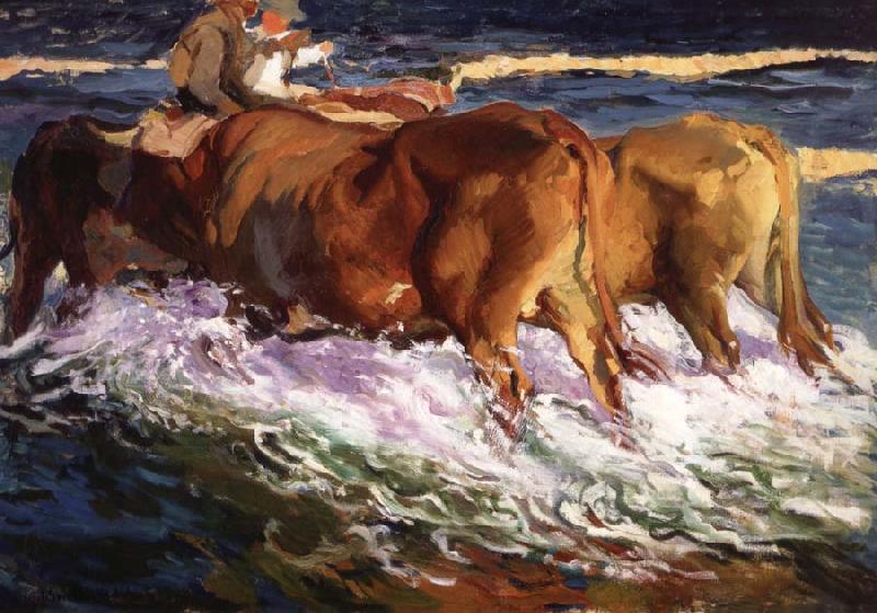 Joaquin Sorolla Y Bastida Oxen Study for the Afternoon Sun Sweden oil painting art
